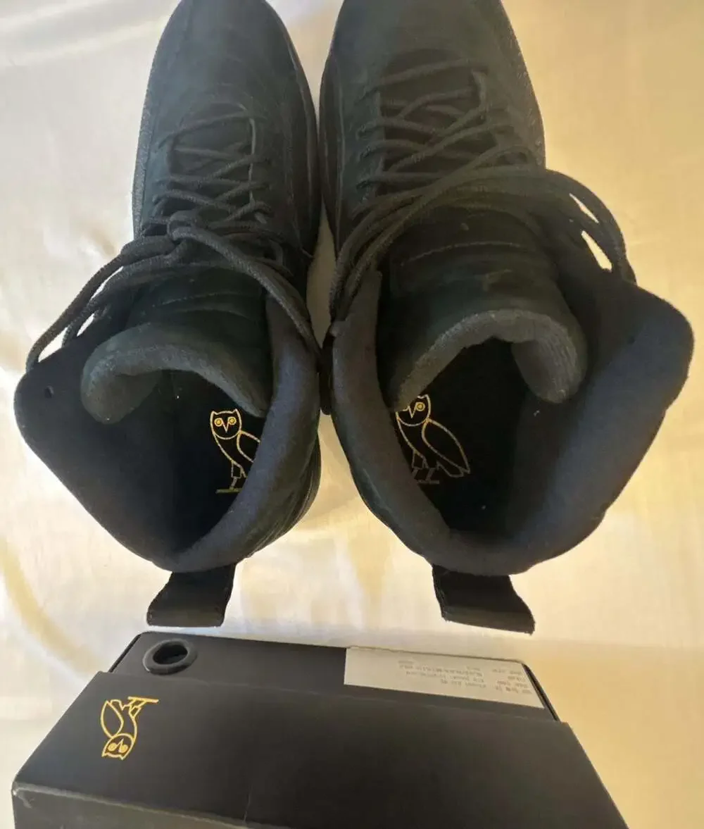 Jordan air 12